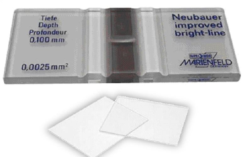 Neubauer Haemocytometer Cell Counting Chamber improved Bright-Line, comes with two cover slips-each
