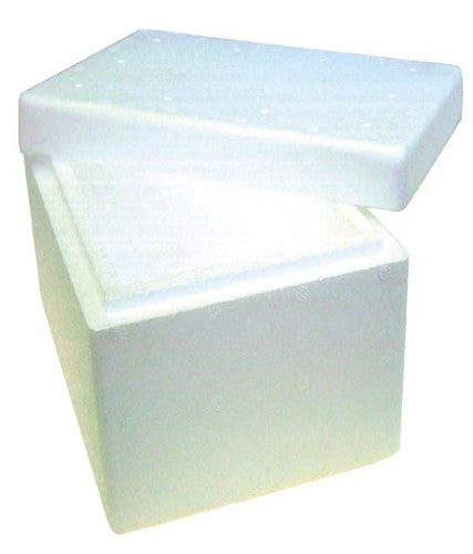 Foam Cooler Boxes with Lid, 2L, 12 x 22 x 15cm