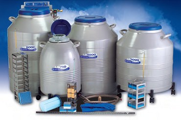 Taylor Wharton Dewars - LS Series