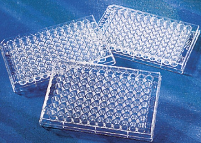 Corning 24 well Tissue culture Treated plates, with lid flat bottom, sterile, individually wrapped-pkt/100
