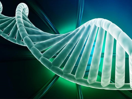Taq Ti Heat Activated DNA Polymerase , including 10x Reaction Buffer, and 25mM MgCl2.-per (1 x 250 units)