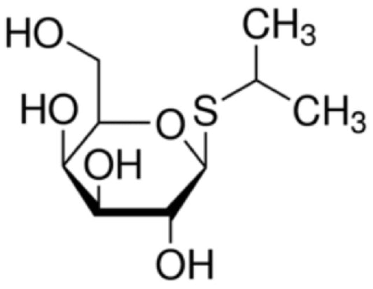 IPTG (Isopropyl-b-D-Thiogalactopyranoside)  (5grm)