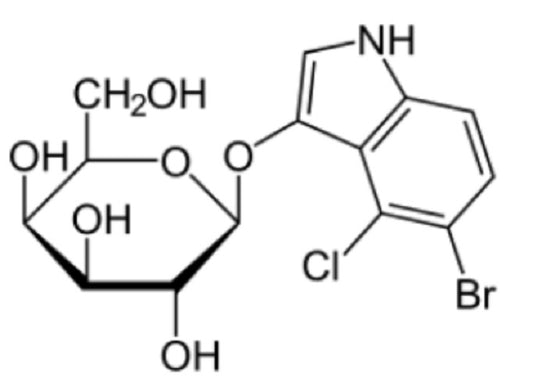 X-Gal (5-Bromo-4-chloro-3-indoyl-b-D-Galactopyranoside)  (1grm)