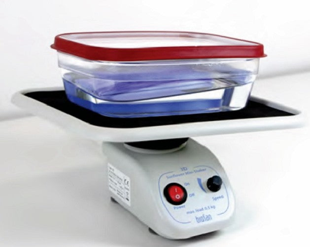 Bisan 3D Sunflower Mini–Shaker