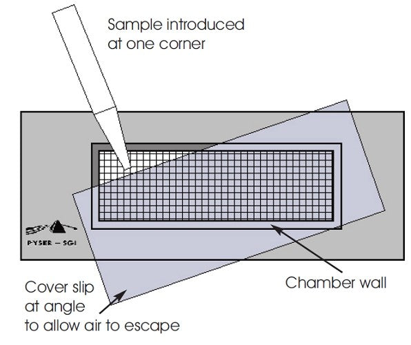 Emgrid Sedgewick Rafter Counting Cell, Plastic (includes 1 cover glass)