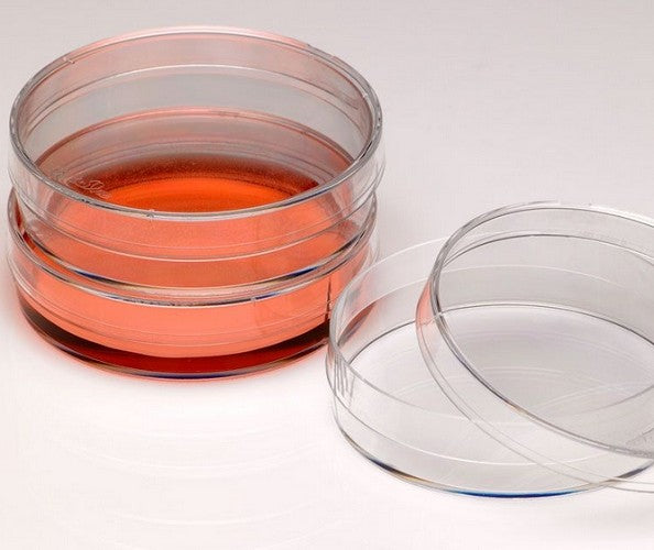 Nest Cell Culture Petri Dish, 60mm, polystyrene, sterile, ctn/500