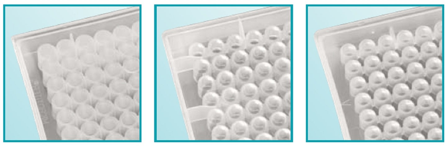 Povair 96 Well Polypropylene Porvair Storage_Collection Plates