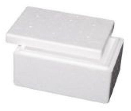 Foamex Foam Cooler Box with Lid, 2L