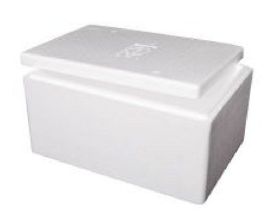 Foamex Foam Cooler Box with Lid, 21L, each