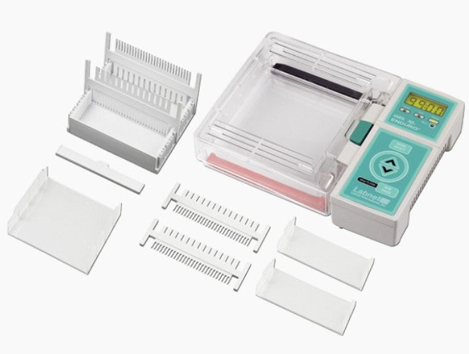 Labnet Electrophoresis (Gel) Systems – ENDURO™ XL: Horizontal