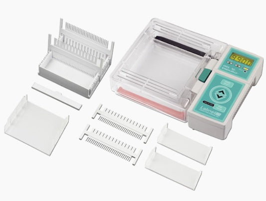 Labnet Electrophoresis (Gel) Systems – ENDURO™ XL: Horizontal
