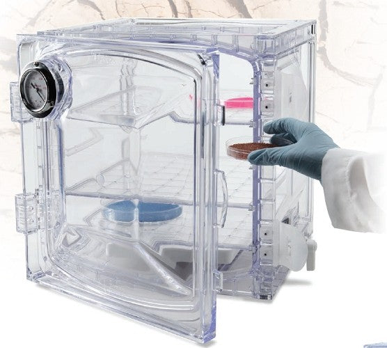 Bel-Art Lab Companion™ Vacuum Desiccators