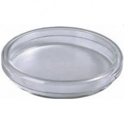 Petri Dish, Glass with Lid, 90mm d x 15mm h-each