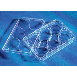 Corning 6 well Tissue culture Treated plates, with lid flat bottom, sterile 5/pack/case/100