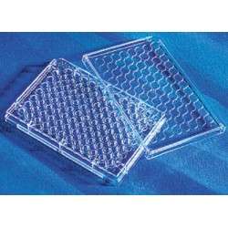 Corning 96 well TC treated, polystyrene, flat bottom with lid, sterile, individually wrapped, Visible light range, pkt/50