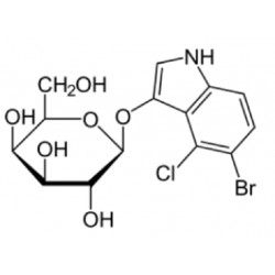 Fisher Biotec X-Gal (5-Bromo-4-chloro-3-indoyl-b-D-Galactopyranoside)  (1gm)