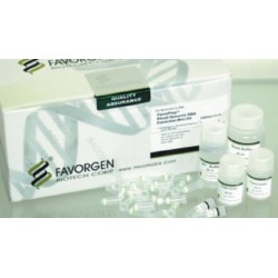 Favorgen Blood Genomic DNA Extraction MAXI Kit (24prep),  (With Proteinase K Powder)