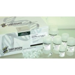 Favogen Plasmid DNA Extraction Maxi Kit, Ion Exchange (20prep)