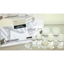 Favorgen Fungi/Yeast Genomic DNA Extraction Mini Kit  (50prep)