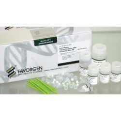 Favorgen Tissue Genomic DNA Extraction McroElute Kit, with Proteinase K Powder  (100-prep)