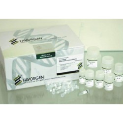 Favorgen Stool DNA Isolation Mini Kit (100prep), with Proteinase K Powder
