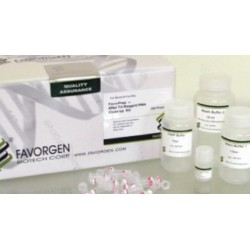 Favorgen After-Tri RNA Purification Mini Kit (200prep)