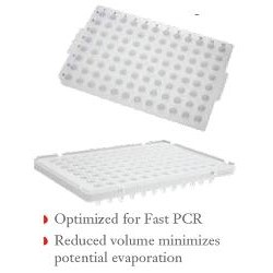 Axygen 96 well Semi-Skirt PCR Plates 100µL Low Profile-pkt/100-