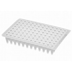 Axygen 96 well PCR plates 100 µL non-skirted Low Profile-pkt/100-