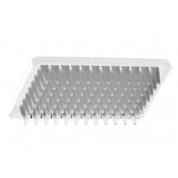 Axygen 96 well PCR plate Half skirt to suit ABI instruments-pkt/50-