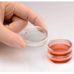 Nest Cell Culture Petri Dish, 35mm, polystyrene, sterile, ctn/500