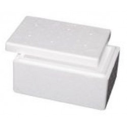 Foamex Foam Cooler Box with Lid, 2L, each