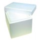 Foam Cooler Boxes with Lid, 2L, 12 x 22 x 15cm
