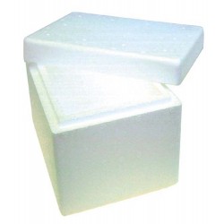 Foam Cooler Boxes with Lid, 2L, 12 x 22 x 15cm