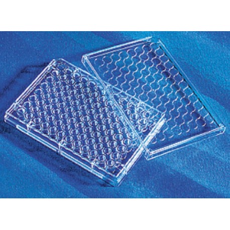 Corning 96 well tissue culture treated standard plate flat bottom, with lid, sterile, individually wrapped-pkt/100