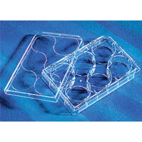 Corning 6 well Tissue culture Treated plates, with lid flat bottom, sterile 5/pack/case/100