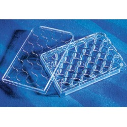 Corning 24 well Tissue culture Treated plates, with lid flat bottom, sterile, individually wrapped-pkt/50