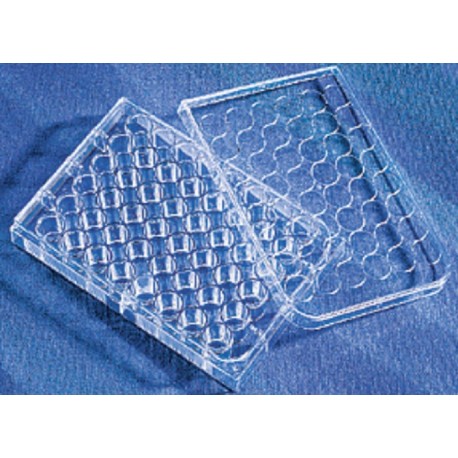 Corning 48 well Tissue culture Treated plates, with lid, flat bottom, sterile, individually wrapped-pkt/100