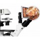 Motic Microscope Cameras and Displays