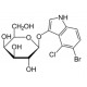 X-Gal (5-Bromo-4-chloro-3-indoyl-b-D-Galactopyranoside)  (1grm)