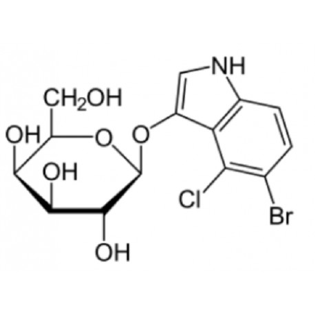X-Gal (5-Bromo-4-chloro-3-indoyl-b-D-Galactopyranoside)  (1grm)