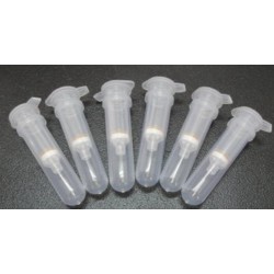 PM Midi Column (affinity resin) for Plasmid Midi and Plasmid Midi Endotoxin-free kits-pkt/5