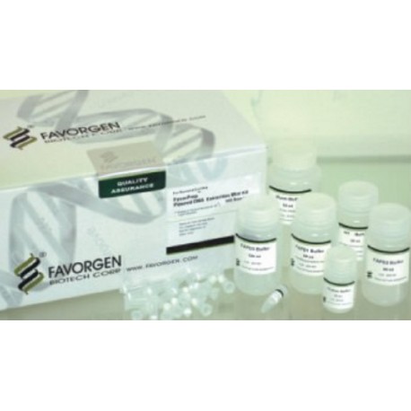 Plasmid DNA Extraction Maxi Kit, FavorFilter, Ion Exchange (10prep)