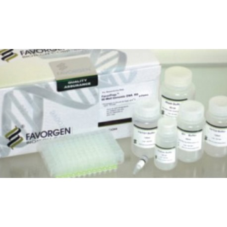 Favorgen 96-well Plasmid DNA Extraction Kit (10 plates)