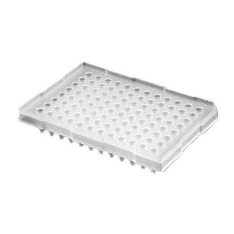 Axygen 96 well PCR plate Elevated skirt to suit ABI Real-time/Sequencing instruments-pkt/50