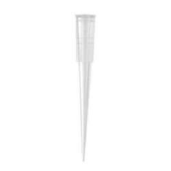 Axygen 1-200µL Clear pipette tips-pkt/1000