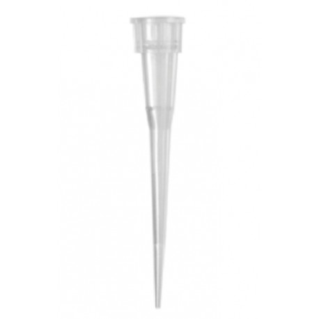 Axygen Maxymum Recovery  0.1-10µL short micro pipette tips-pkt/1000