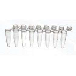 Labcon 0.2ml strip tubes of 8 with Domed individual attached caps-per/(120 x 8)