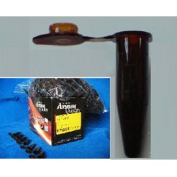 Axygen Amber flip top tubes 1.5ml boil proof- Non-Sterile-pkt/500