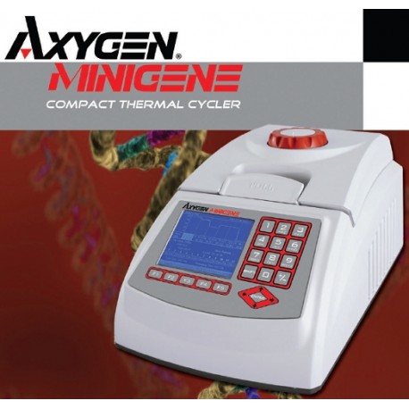 Axygen MiniGene Thermal Cycler