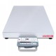 Ohaus Bench Scales